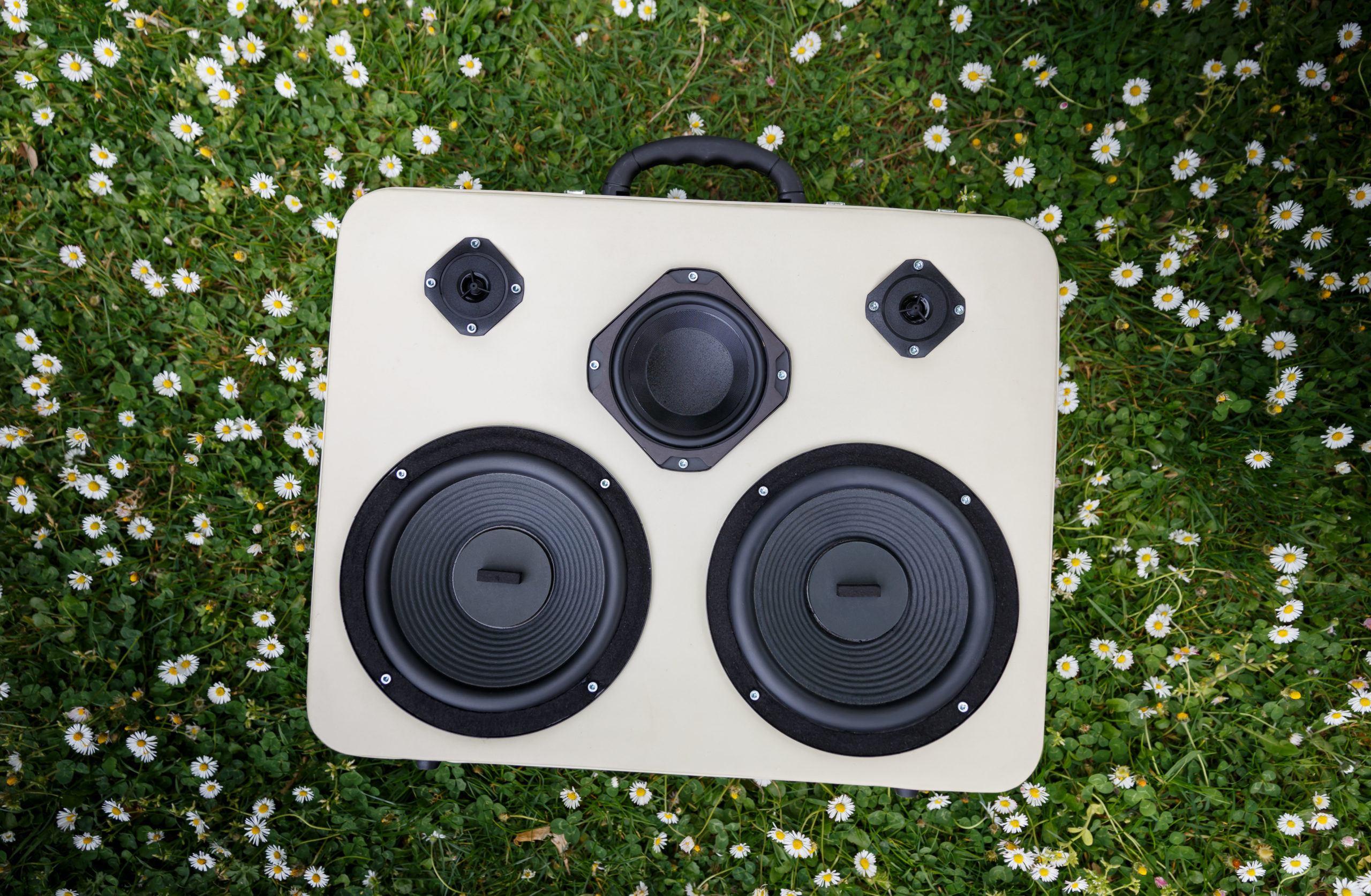 Valise musicale New-Yorker 100 watts en cuir vintage