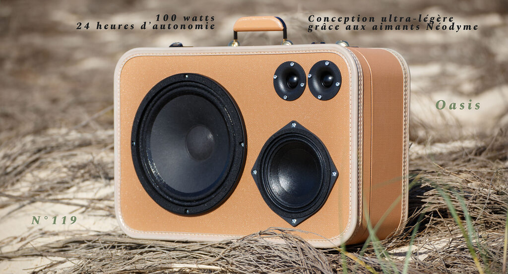 Valise musicale Oasis 100 watts en cuir vintage