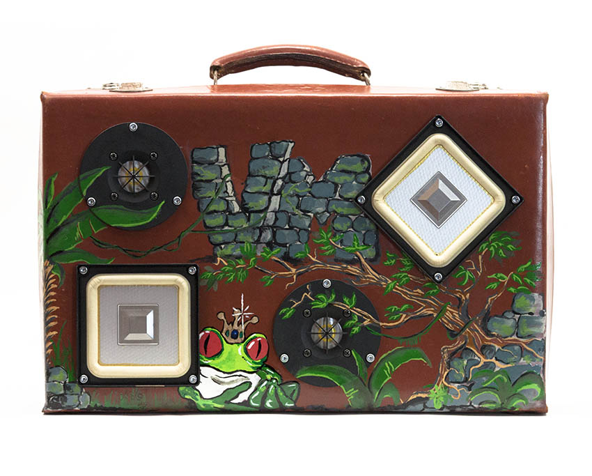 reintroduction face valise web